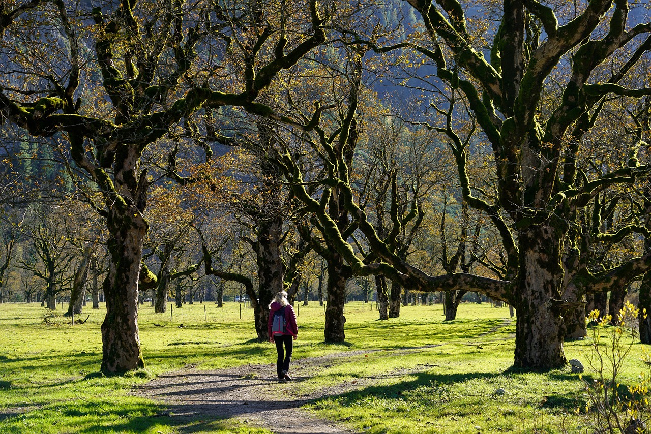 Business owner hiking on a trail in nature during the weekend to recharge and think clearly